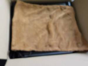 1 Layer Pet bed...
