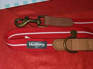 lot 93 image: Blueberry Pet Red and White Collar and Leash