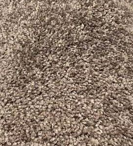 12 x 1610 (202 Sq Ft) Shaw Expect More Chocolate Chip Carpet Remnant
