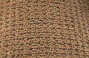 12 x 10 (120 Sq Ft) Shaw Brown Loop Carpet Remnant