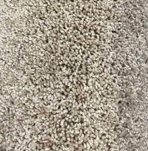 12 x 103 (123 Sq Ft) Shaw Glee Natural Flax Carpet Remnant