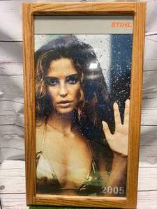 lot 16 image: Stihl Framed Art 14 X 24