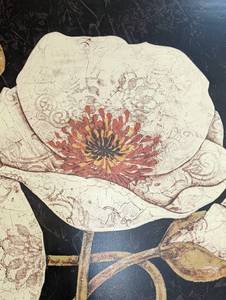 Gorgeous Framed Poppy Print