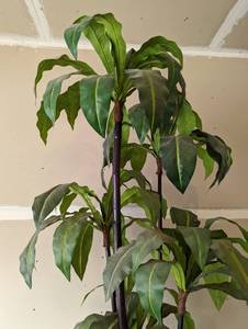 Large Potted Faux Plant