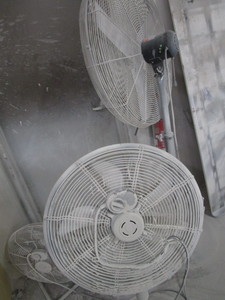 lot 231 image: Fans with Extreme Garage...