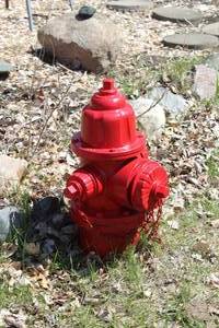 lot 873 image: Fire Hydrant