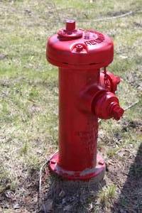 lot 896 image: Fire Hydrant