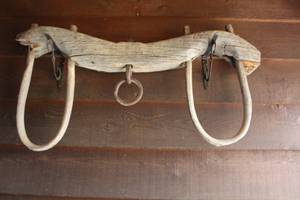 lot 934 image: Vintage Oxen Yolk