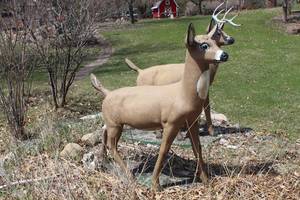 lot 965 image: Doe Yard Statue