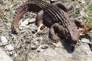 lot 968 image: Alligator Cast Iron Yard Statue