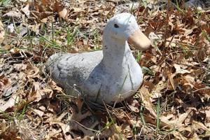 lot 969 image: Duck Yard Statue