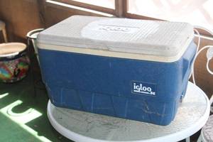 lot 1012 image: Igloo Chest Cooler