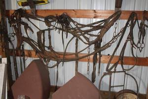 lot 1037 image: Contents of Wall - Misc. Horse Tack