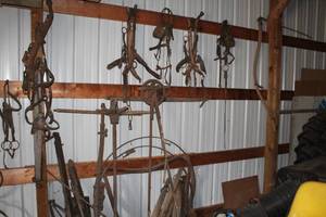 lot 1038 image: Contents of Wall - Misc. Horse Tack