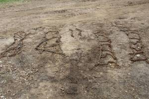 lot 1053 image: Lot of (2) Tire Chain Sets