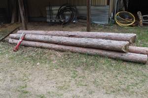 lot 1063 image: Lot of (5) 14 Tree Logs