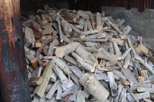 lot 1071 image: Lot of (12-Shed) Firewood