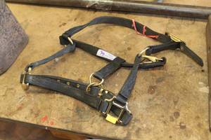 lot 1094 image: Pony Halter