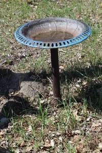 lot 1084 image: Metal Bird Bath