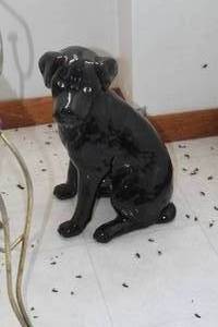 lot 1792 image: Black Labrador Theme Porcelain Statue