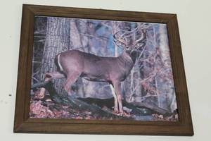 lot 457 image: Deer Theme Wall Art