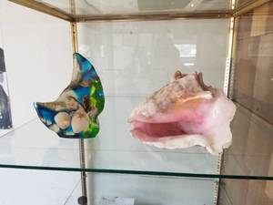 lot 517 image: Lot of (2) Table Dcor - Sea Shell, Marinelife Dcor