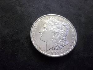 1891 Morgan Silver Dollar
