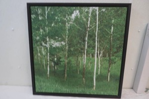 wall art
