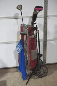golf clubs and caddy