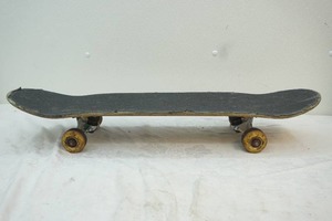 Phantom 2 skateboard