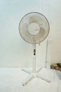 Holmes short floor fan