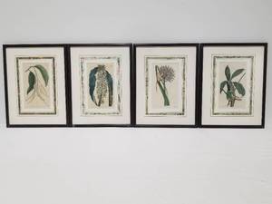 Group of 4 Botanical Prints
