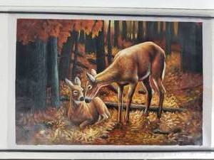 3 Oils on Canvas Unframed