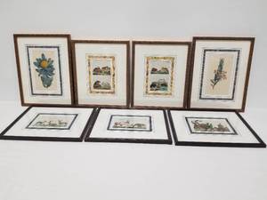 Group of 7 Engravings