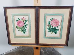 Pair of Botanical Prints
