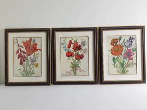 3 Botanical Prints Flowers