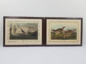 2 After Audubon Lithos Prints