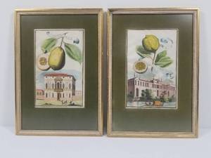 Pair of Engravings