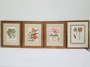 Group of 4 Botanical Prints