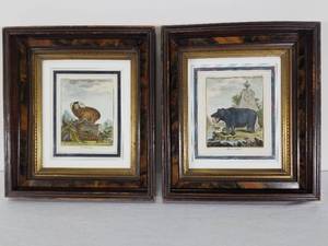 Pair of Engravings