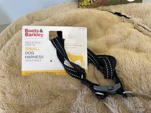 Small Dog Harness, Dog Book and Bed