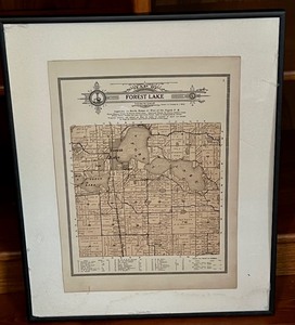 Framed Vintage Forest Lake Township Map