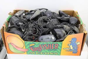 Box of Mice