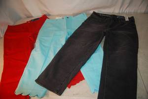 Talbots Pants