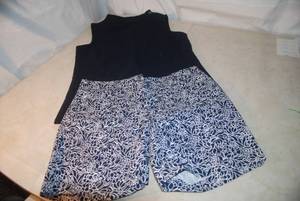 Talbots Shorts and a Top