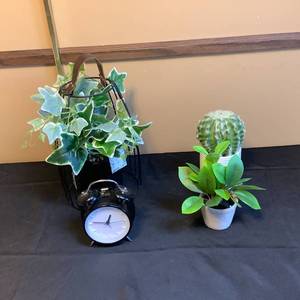 lot 463 image: Artificial Plant Dcor