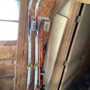 lot 555 image: Fischer and Olin Skis