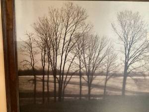 lot 489 image: MoonField Picture