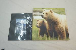 lot 308 image: matted photo and canvas grizzly print