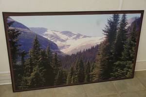 lot 341 image: mountain view photo